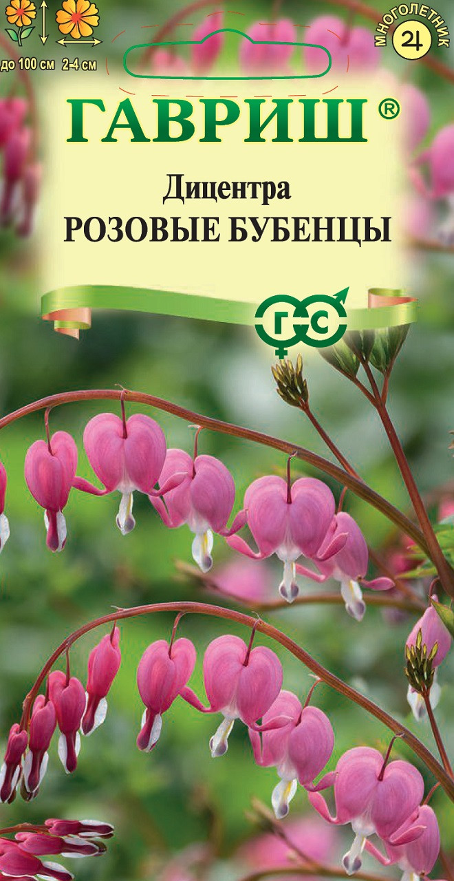 Дицентра великолепная Розовые бубенцы Ц Г