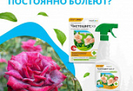 Спровоцировать развитие инфекций могут разные причины