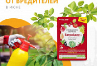 Июнь – время размножения вредителей. Батрайдер спасёт Ваш урожай! Июнь – время размножения вредителей. Батрайдер спасёт Ваш урожай!