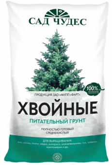 1С800029211