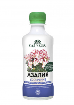 1С800000198