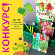 Розыгрыш набора для рассады