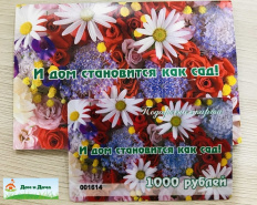 Розыгрыш