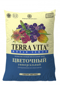 1С800008591